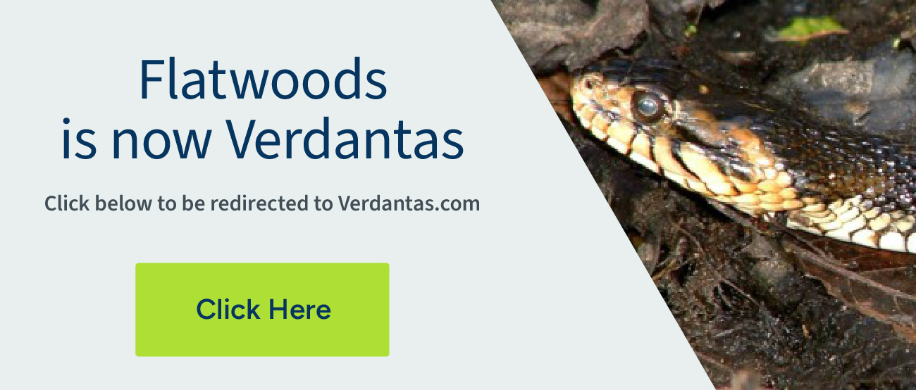 Flatwoods is now Verdantas. Click to be redirected to Verdantas.com.